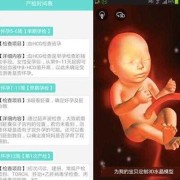 孕期伴侣40周全程贴心伴侣（孕期伴侣40周全程贴心伴侣正常吗）