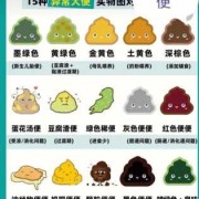 孕期扣大便（孕期扣大便会宫缩吗）