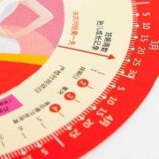 张家港欢乐世界有什么项目,孕期转盘在线计算