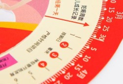 张家港欢乐世界有什么项目,孕期转盘在线计算