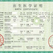 未出生胎儿（母亲没有户口本，孩子出生证明怎么办）