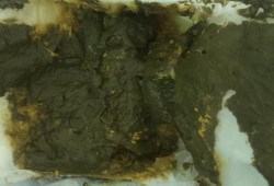 3个月的宝宝大便绿色黏黏的果冻状是怎么回事,3个月胎儿图片