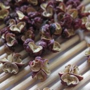 怀孕吃花椒对胎儿智力（怀孕吃花椒对胎儿智力有影响吗）