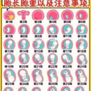胎儿雏形是男孩子（12周孩子发育到什么程度）