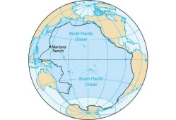 太平洋介绍,太平洋胎儿发育图片大全