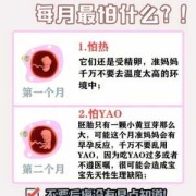 胎儿几个月怕辐射（胎宝宝每个月怕什么）