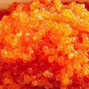 孕妇吃鱼籽对胎儿好吗（宝宝吃鱼籽好吗）