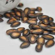 孕妇真的可以吃西瓜籽吗,孕妇吃西瓜子对胎儿好吗有营养吗