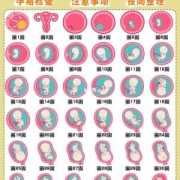 胎儿偏小2周怎么办（怀孕33周胎儿偏小3周怎么办呢？请问孕妇吃什么胎儿长的快啊）