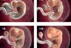 孩子是怎么孕育出来的,胎儿是怎么来的视频