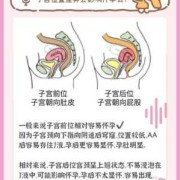 子宫前位是什么意思,胎儿子宫前位和后位的区别