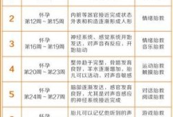 最佳的胎教时间是每天的什么时候,胎儿胎教最佳时间点