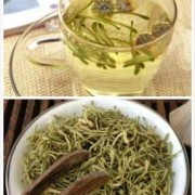 备孕可以喝金银花吗,备孕的人能喝金银花吗