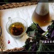 孕期拿什么泡水喝最好（孕妇可以喝紫苏叶泡水吗）