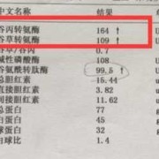 孕期转氨酶高是怎么回事（孕期转氨酶高是怎么回事有什么危害呢）