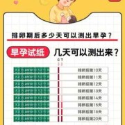 测孕期（测孕期多少周的软件）