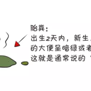 胎儿为什么会吸入胎粪（胎儿为什么会吸入胎粪）