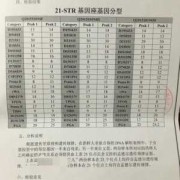 胎儿dna（dna是什么意思）
