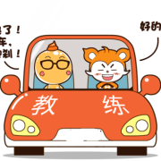 怀孕了学车对胎儿有影响吗,孕妇学车对胎儿有害吗视频