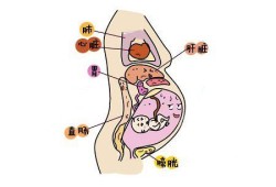 怀孕二十一周胎儿图片（怀孕21周胎儿稳定了吗？怀孕中期会突然胎停吗）