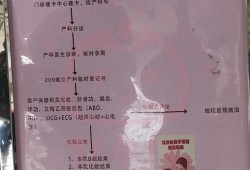 新生儿建档需要什么资料,没领证怀孕建档需要什么证件