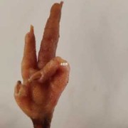 为什么怀孕不能吃鸡爪子,孕妇吃鸡爪胎儿畸形