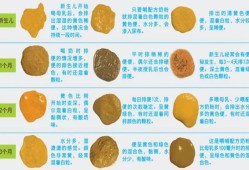 胎儿排便（十个月宝宝正常的大便是什么样的）