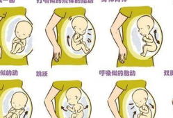 怀孕7个月胎动就小便怎么回事呢？宝宝只要动几下，我就想尿,新生胎儿尿液分析隐血3+什么意思