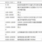 hcg对胎儿的作用（hcg对胎儿的作用）
