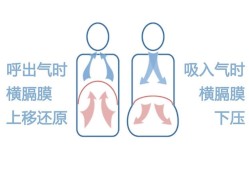 小孩子在肚子里怎么呼吸,胎儿什么时候开始呼吸作用