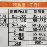 猫咪怀孕体重会增加多少正常,整个孕期增重多少正常值