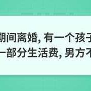 孕期离婚（孕期离婚）