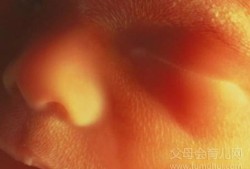 孕五个月胎儿多重正常呢？怀孕五个月胎儿2.5斤正常吗,怀孕五个月胎儿变化