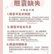 胎儿未见胆囊临床经验（胎儿未见胆囊临床经验）