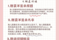 胎儿未见胆囊临床经验（胎儿未见胆囊临床经验）