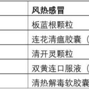 风热感冒对胎儿的影响（风热感冒对胎儿的影响大吗）