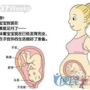 胎儿过大（胎儿过大怎么控制）