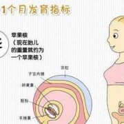 怀孕期多久（怀孕期多久生孩子）