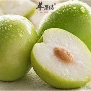 怀孕了可以吃红枣枸杞吗,青枣是保胎还是滑胎