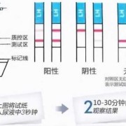 孕期测男女试纸（孕期测男女试纸）