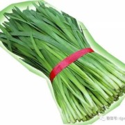 孕期可以吃韭黄吗（怀孕中期的孕妇能吃韭菜吗）
