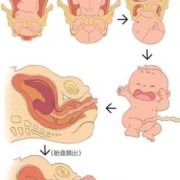 胎儿临产（分娩和临盆是一个意思吗）