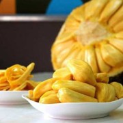孕期可以吃菠萝（孕期可以吃菠萝蜜不）
