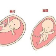 胎儿最早几个月会有胎动,胎儿最早什么时候有胎动的