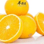 冰糖是热性还是凉性?对身体有什么帮助,孕期吃冰糖橙好吗