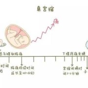 宫缩对胎儿有影响吗,总是宫缩对胎儿影响大吗