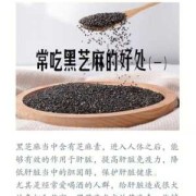 黑芝麻对胎儿的好处（怀孕吃黑芝麻对胎儿的好处）
