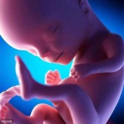 怀孕15周胎儿真实图片（怀孕15周胎儿真实图片欣赏）