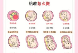 怀孕多久可以胎教,怀孕期间胎教最佳时间