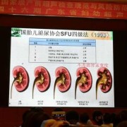 37周胎儿左肾肾盂分离啥意思啊？胎儿的左肾怎么会分离了呢,胎儿肾盂分离是什么意思,严重吗